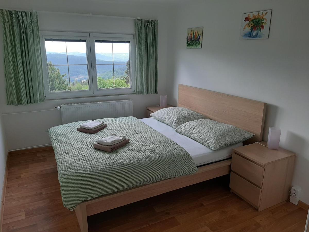 Naproti Klinovci Villa Jachymov Ngoại thất bức ảnh